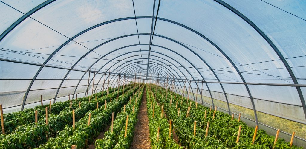 coperture agricole