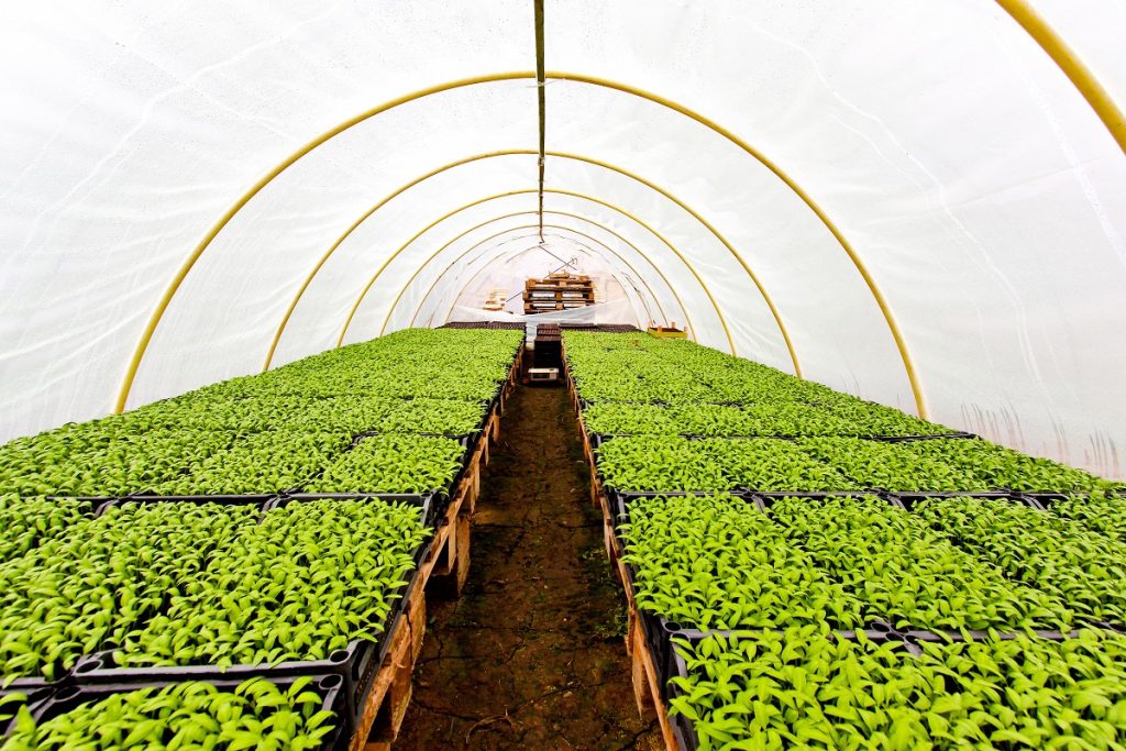 saldatura di coperture per l'agricoltura in polietilene